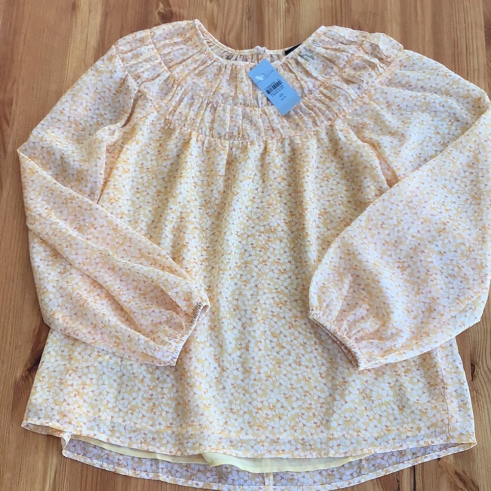 Brand new, Ann Taylor beautiful floral chiffon blouse